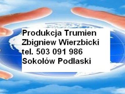 Produkcja Trumien Zbigniew Wierzbicki